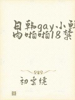 日韩gay小鲜肉啪啪18禁