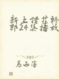 新上错花轿嫁对郎24集播放