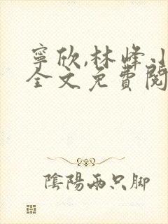 宁欣,林峰小说全文免费阅读封面