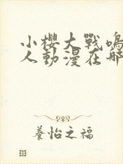 小樱大战鸣人同人动漫在哪里看