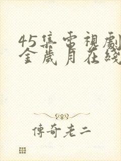 45集电视剧流金岁月在线观看国语封面