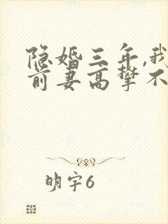 隐婚三年,我让前妻高攀不起