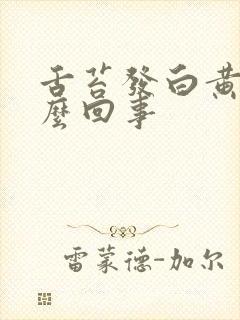 舌苔发白黄是怎么回事封面