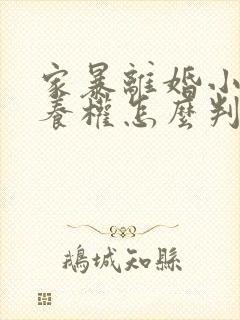 家暴离婚小孩抚养权怎么判