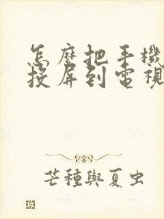 怎么把手机界面投屏到电视上