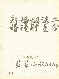 新婚姻法二婚离婚后财产分配