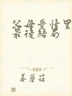 父母爱情里安晨最后结局