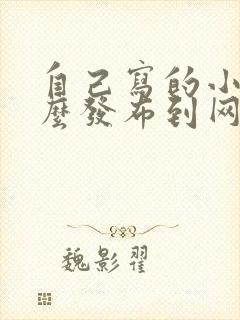 自己写的小说怎么发布到网上赚钱呢