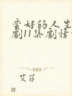 蛮好的人生电视剧11集剧情介绍