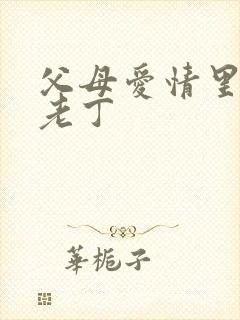 父母爱情里面的老丁