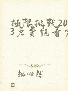 极限挑战2023免费观看完整版高清封面