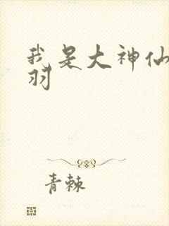 我是大神仙左宗羽