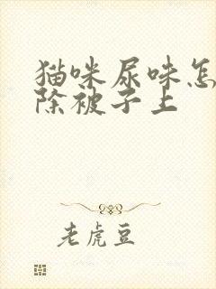 猫咪尿味怎么去除被子上