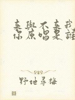 来与不来我都等你原唱是谁