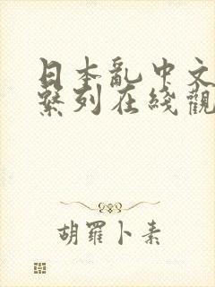 日本乱中文字幕系列在线观看