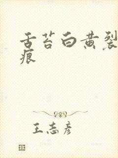 舌苔白黄裂纹齿痕