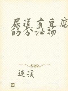 尿道有豆腐渣似的分泌物