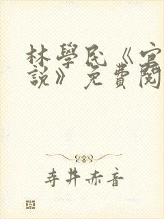 林学民《官场小说》免费阅读