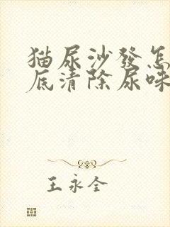 猫尿沙发怎么彻底清除尿味封面