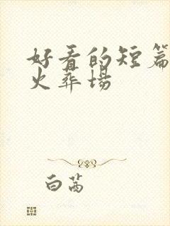 好看的短篇追妻火葬场