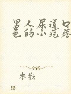 男人尿道口有白色的小疙瘩封面