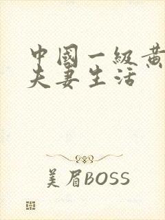 中国一级黄色片夫妻生活