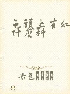 龟头上有红斑挂什么科