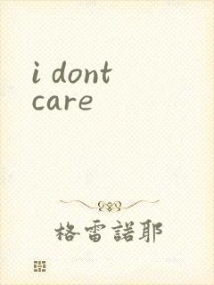 i dont care封面