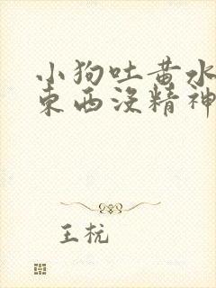 小狗吐黄水不吃东西没精神吃什么药