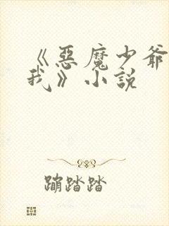 《恶魔少爷别惹我》小说