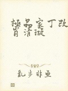 极品家丁改编之肖清璇