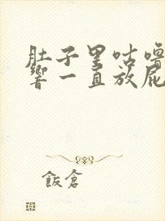 肚子里咕噜咕噜响一直放屁封面