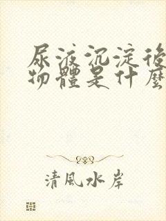 尿液沉淀后白色物体是什么