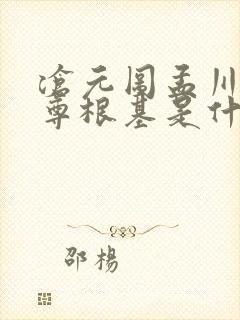 沧元图孟川的神尊根基是什么