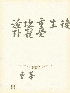 渣攻重生后悔弥补宠受