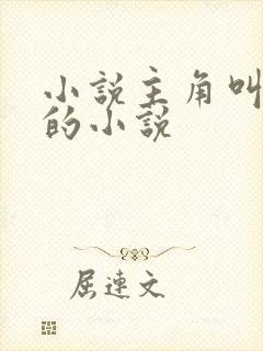 小说主角叫林浩的小说封面