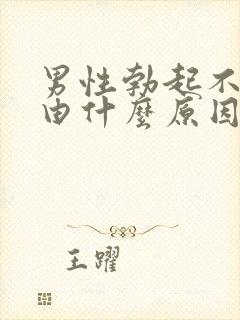 男性勃起不坚是由什么原因引起的封面