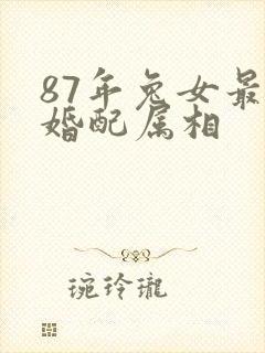 87年兔女最佳婚配属相