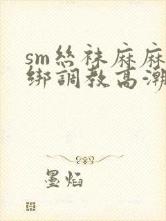 sm丝袜麻麻捆绑调教高潮小说封面