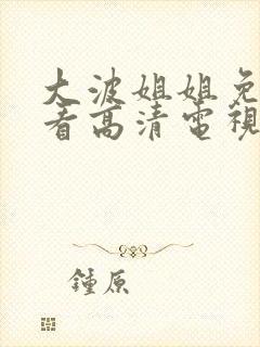 大波姐姐免费观看高清电视剧日剧封面