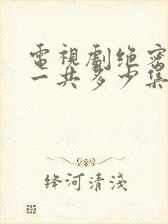 电视剧绝密较量一共多少集啊