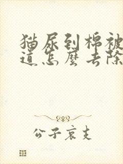 猫尿到棉被上味道怎么去除