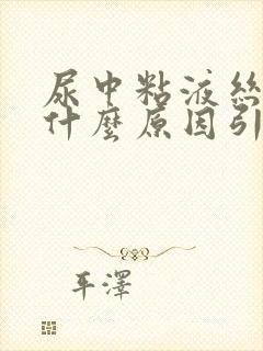 尿中粘液丝高是什么原因引起的