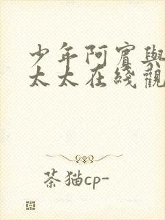 少年阿宾与房东太太在线观看