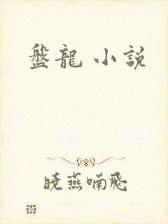 盘龙 小说