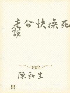 老公快操死我小说封面