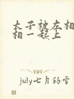 太子被左相和右相一起上