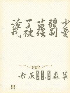 渣了苗疆少年后我被强制爱了小说