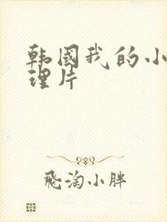 韩国我的小姨伦理片
