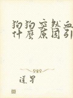 狗狗突然血尿是什么原因引起的